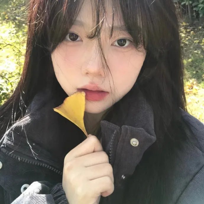 网美嬉游记